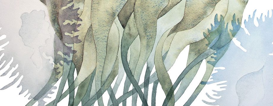 Artwork 5